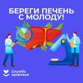 Профилактика инфекционных заболеваний печени